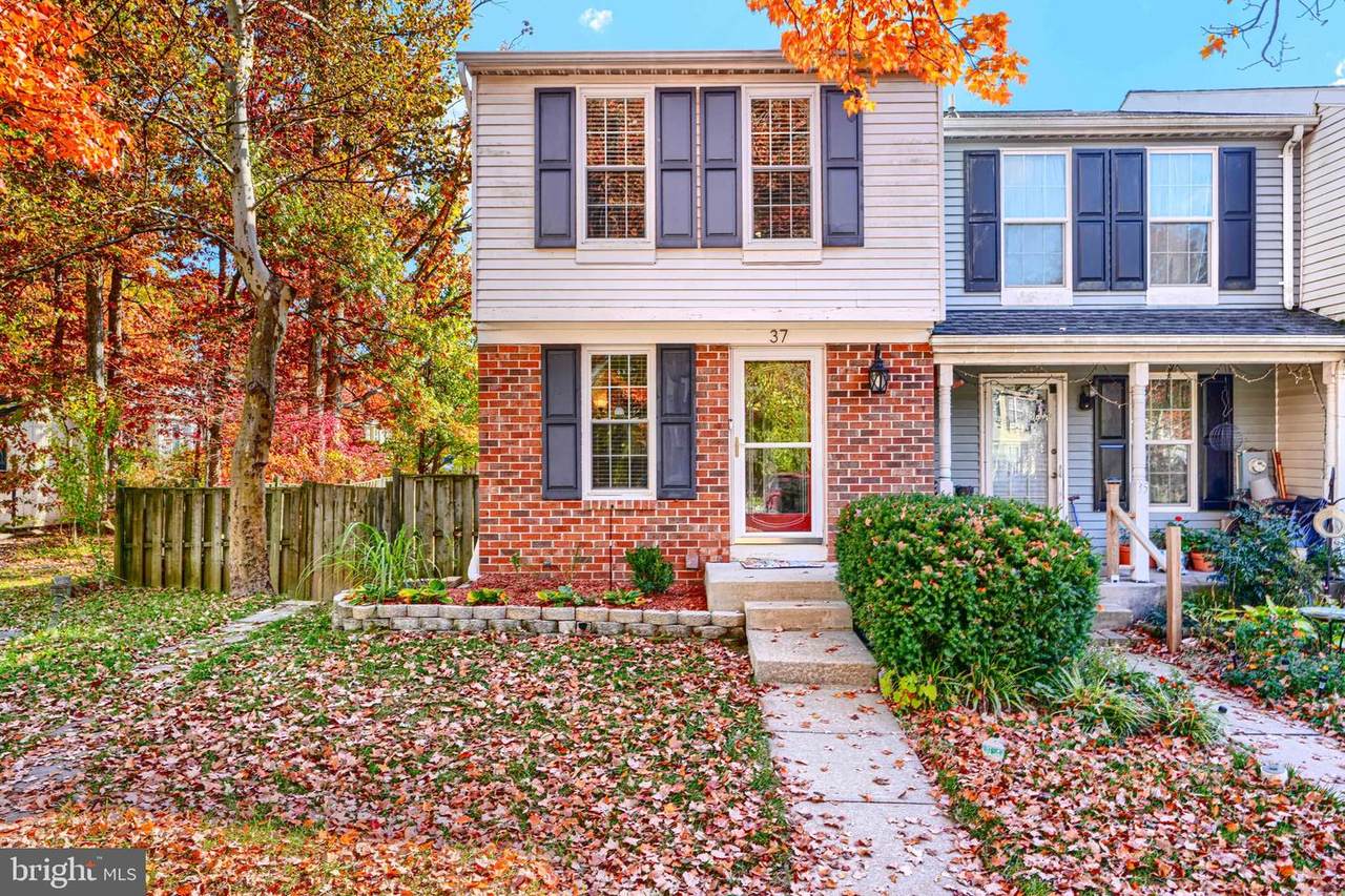 37 Dallington Court - Photo 1