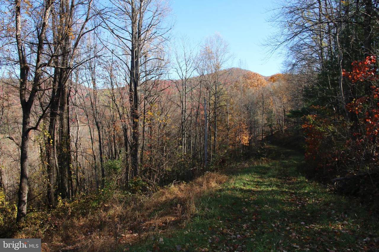  Overlook Mountain Road - Photo 1