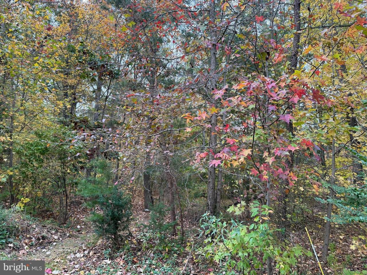 5162 Cedarlea Drive - Photo 1