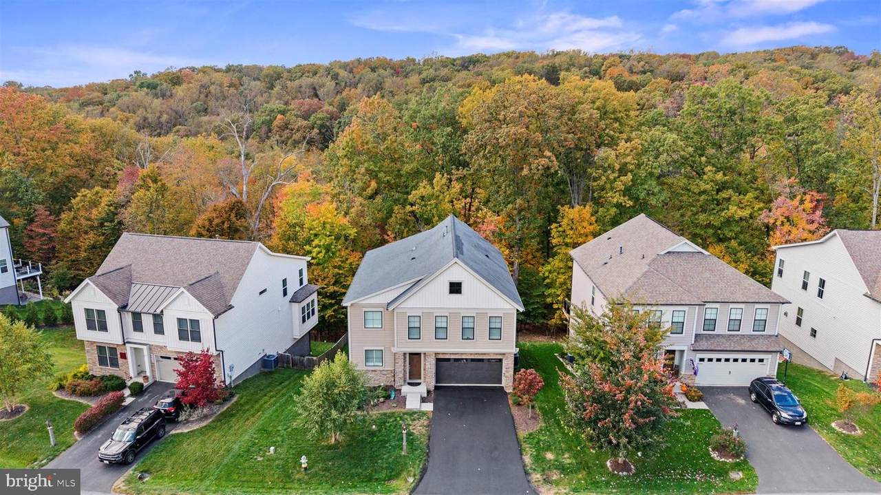 6828 Shavano Road - Photo 1