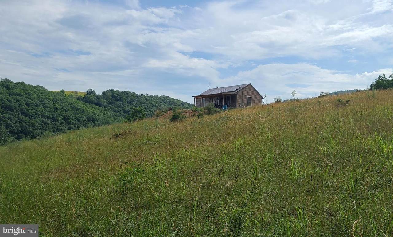 534 Strauter Road - Photo 1
