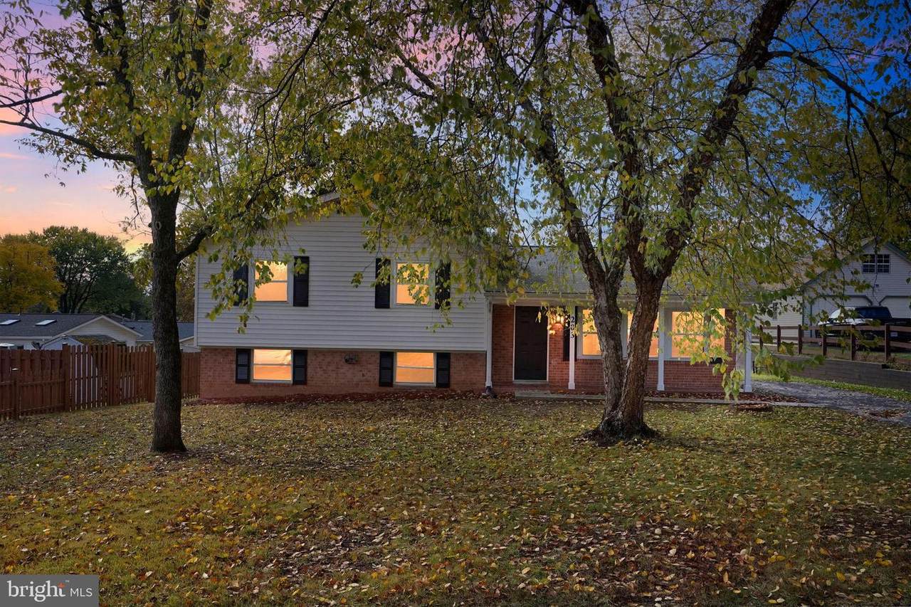 203 Fir Court - Photo 1