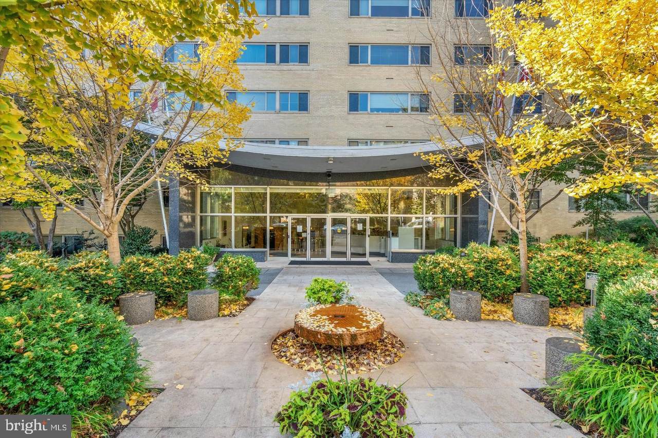 4600 Connecticut Avenue - Photo 1