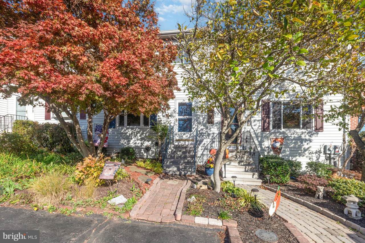 46 Bill Dugan Drive - Photo 1