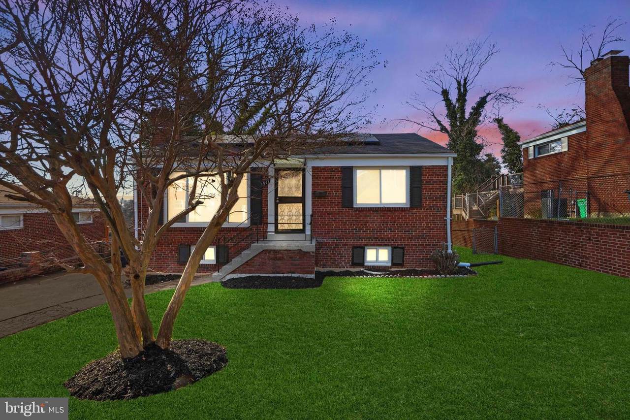 1917 Nova Avenue - Photo 1