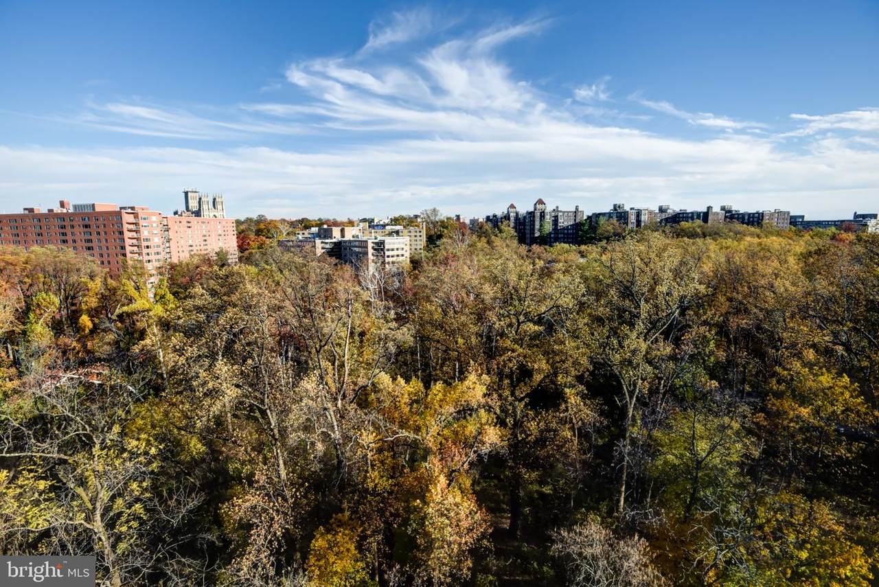 4201 Cathedral Avenue - Photo 1