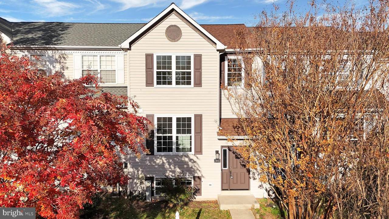 2442 Winding Ridge Road - Photo 1