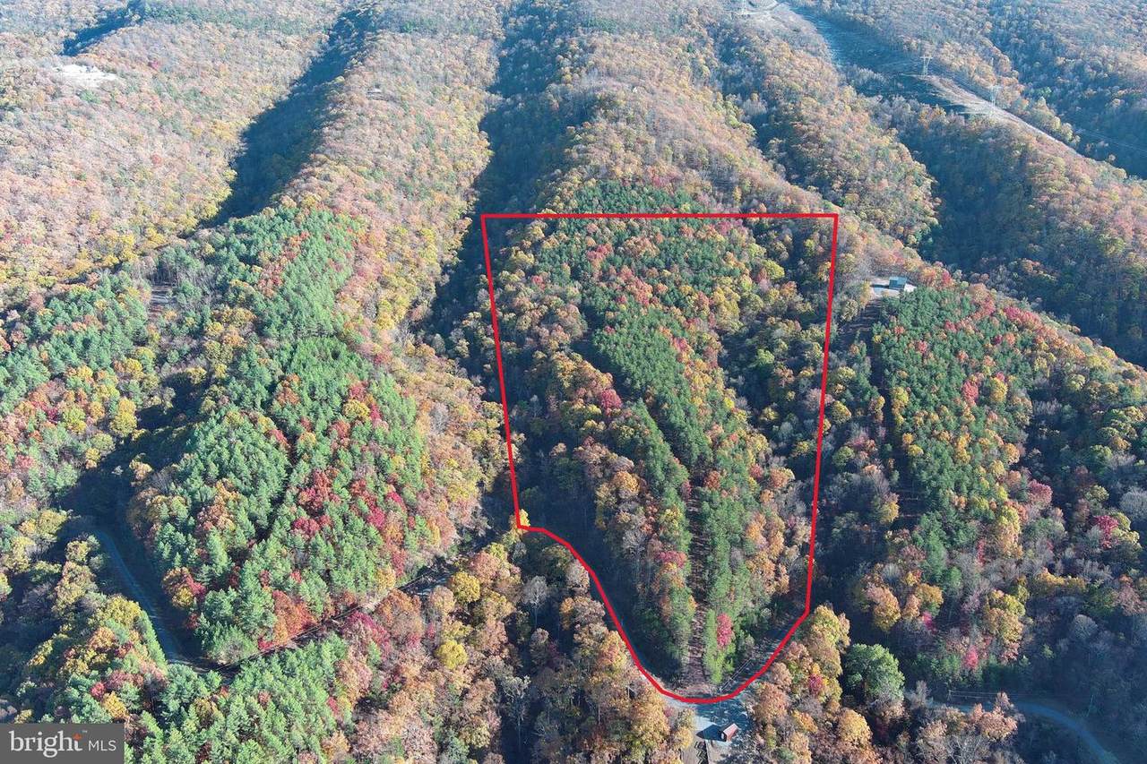  299 ASHTON WOODS - Photo 1