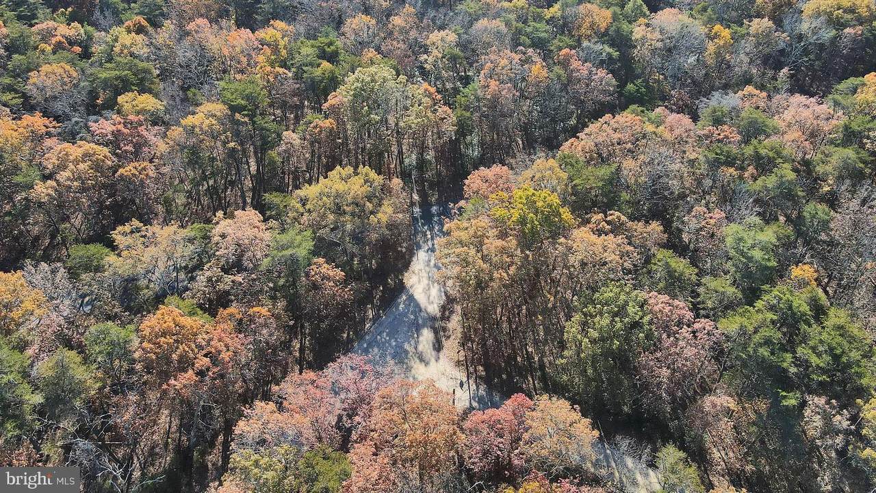  Carpenter Avenue - Photo 1