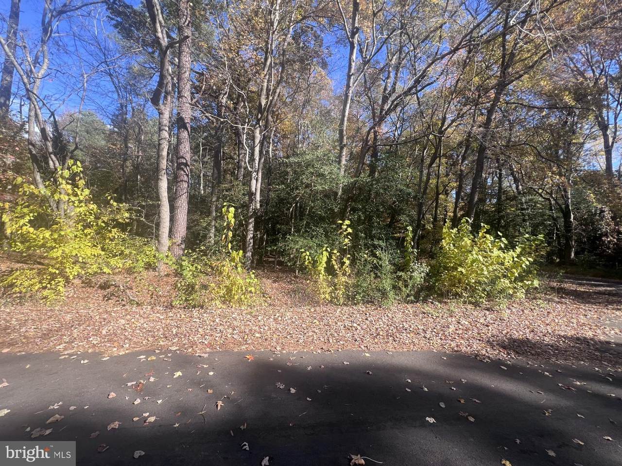 1403 Tomlinson Drive - Photo 1