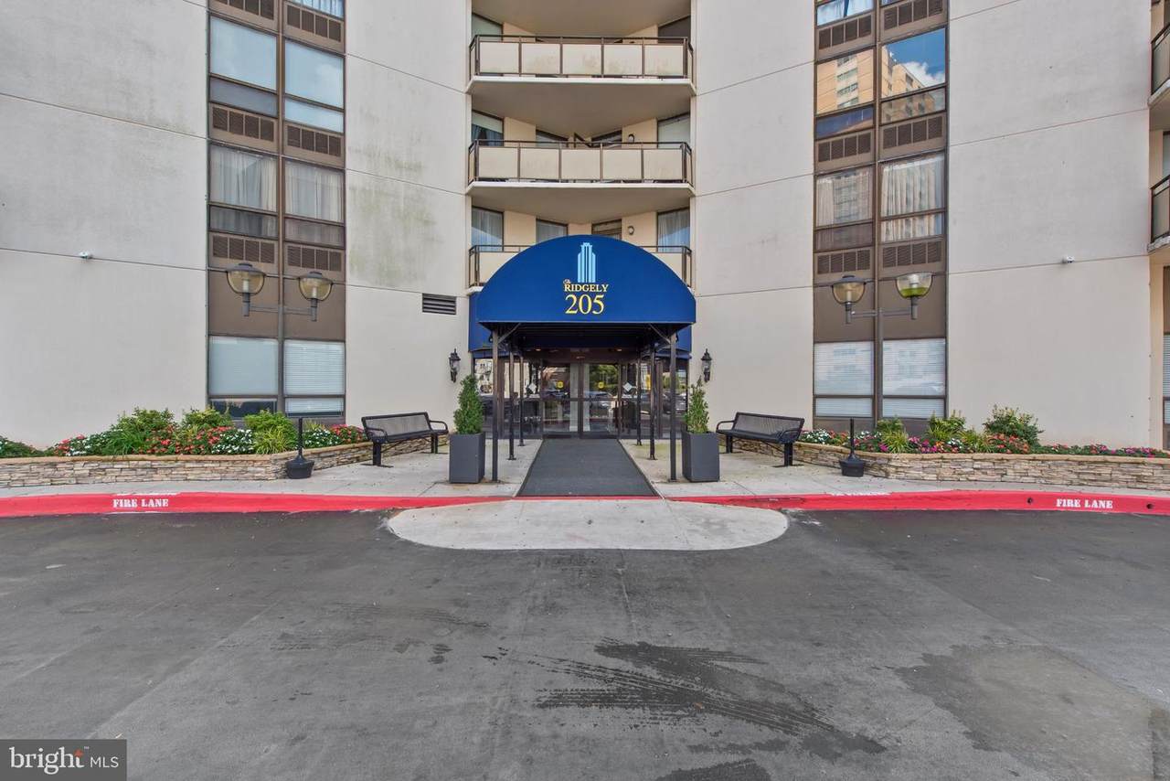 205 Joppa Road - Photo 1