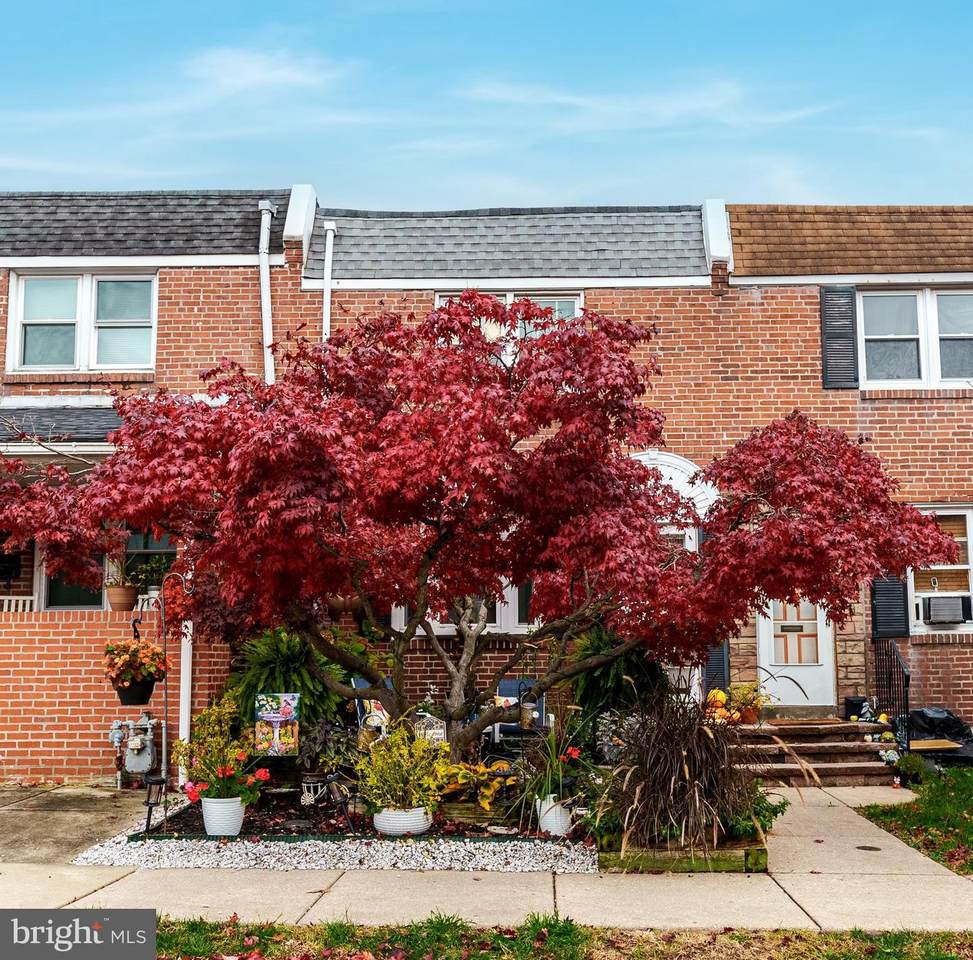 16 Forrest Avenue - Photo 1