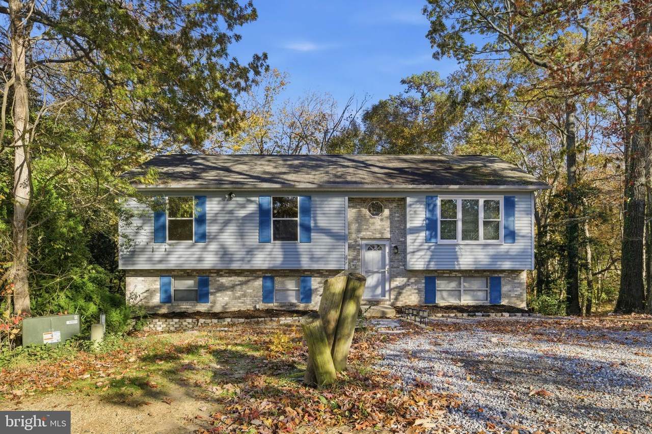 817 Bison Court - Photo 1