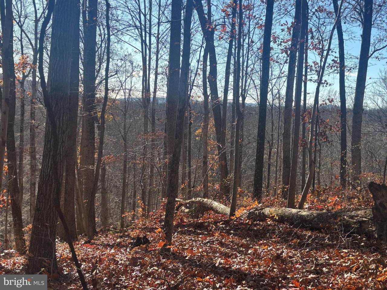 38196 Lime Kiln Road - Photo 1