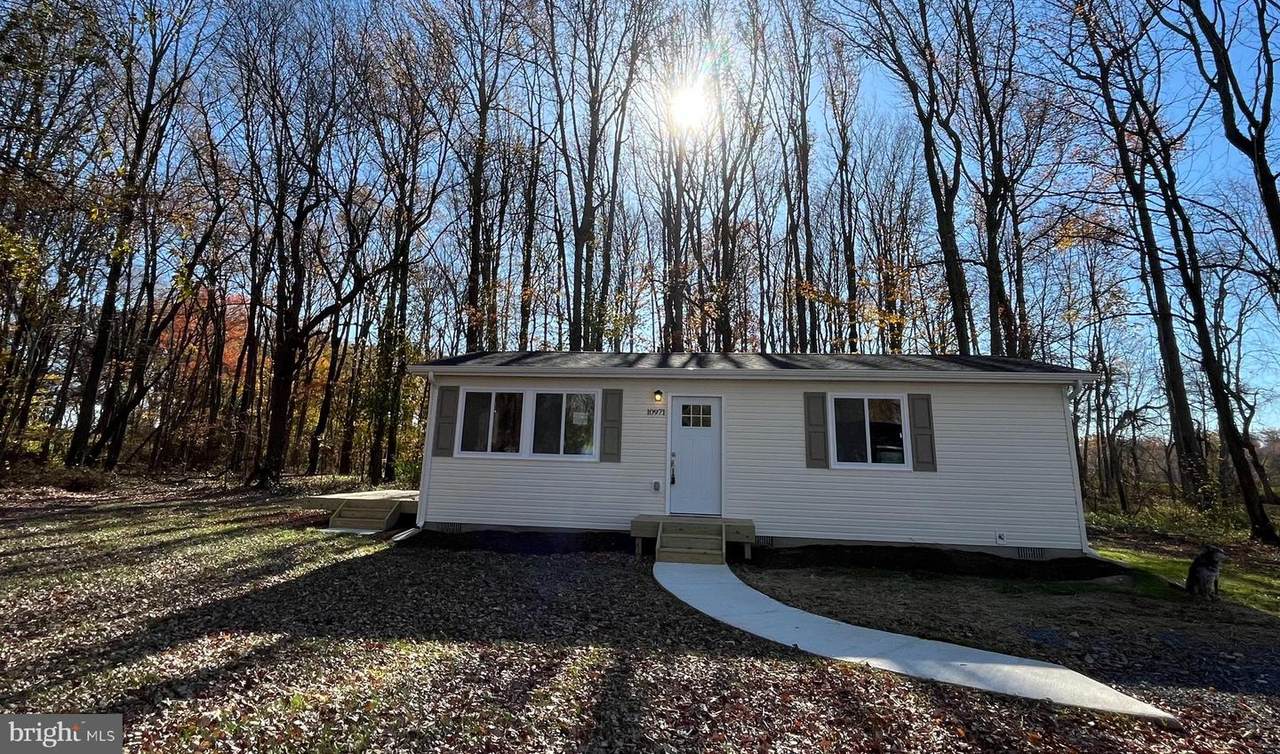 10971 Bottom Road - Photo 1