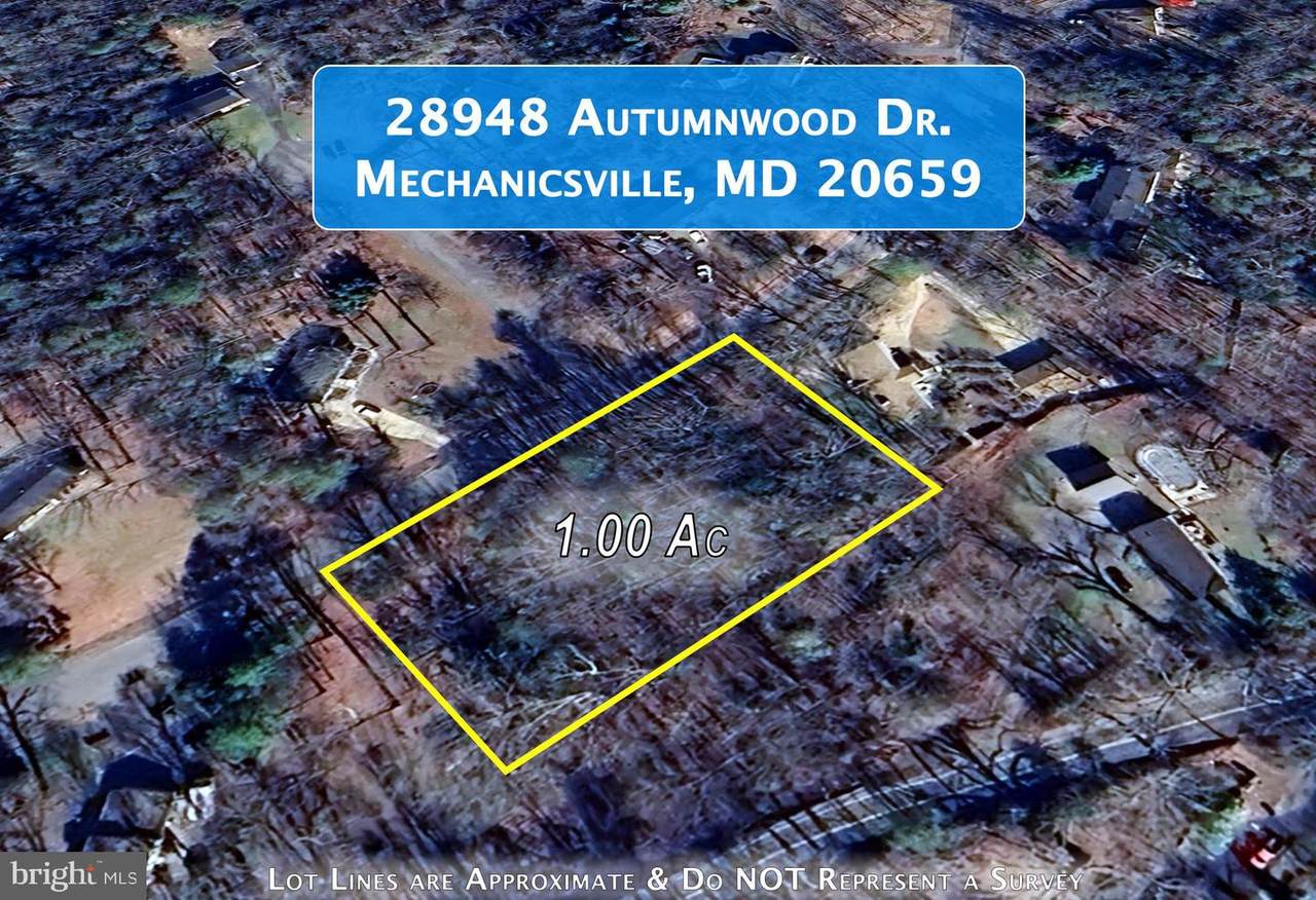 28948 Autumnwood Drive - Photo 1