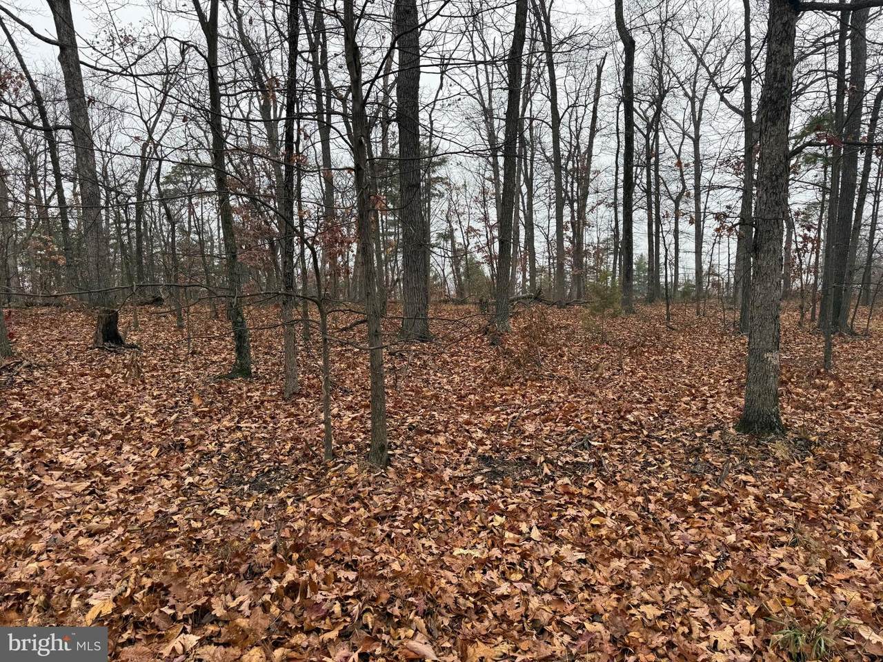 0 White Pine Lane - Photo 1