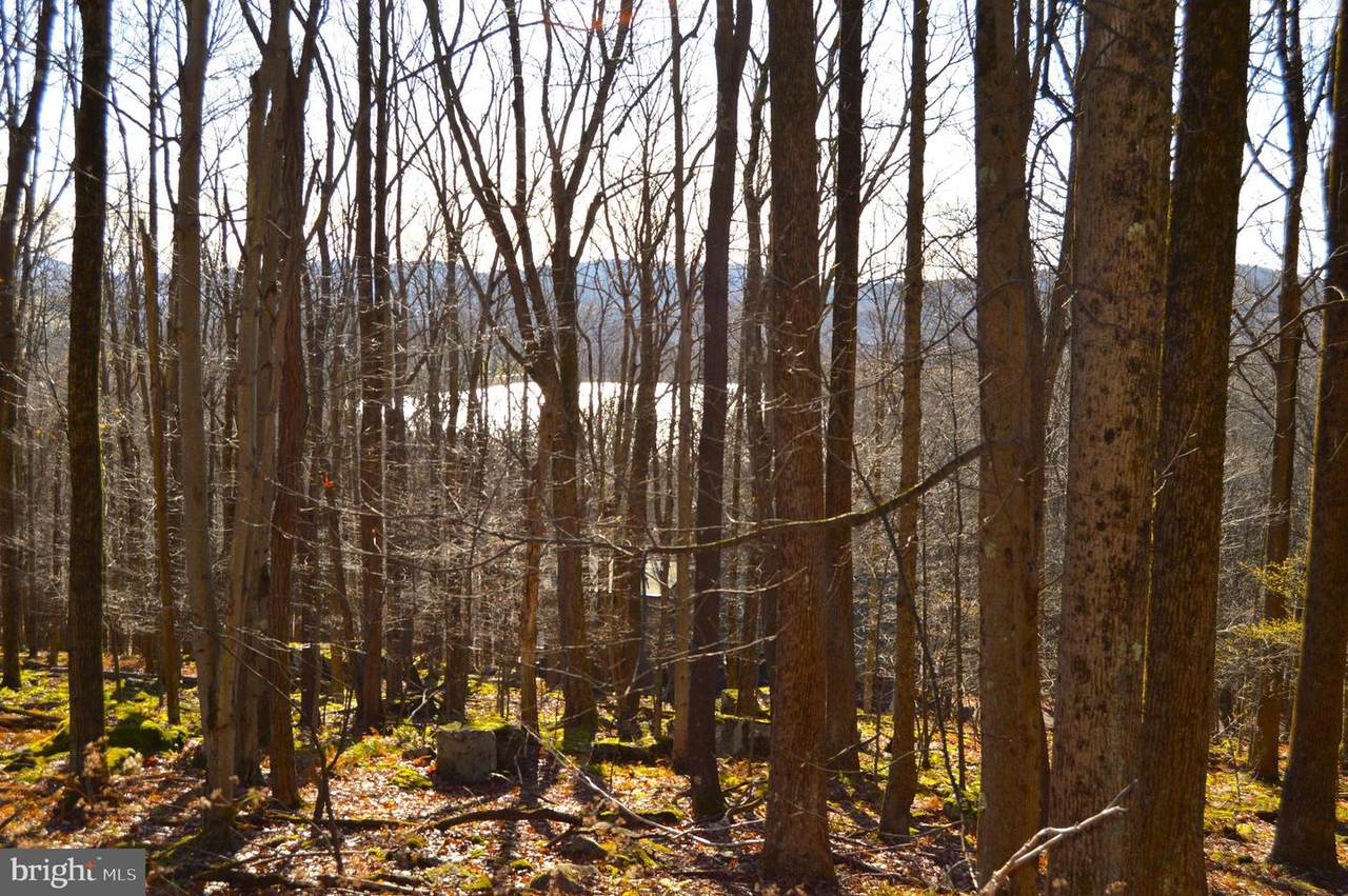 Lot 154 Daisy Drive - Photo 1