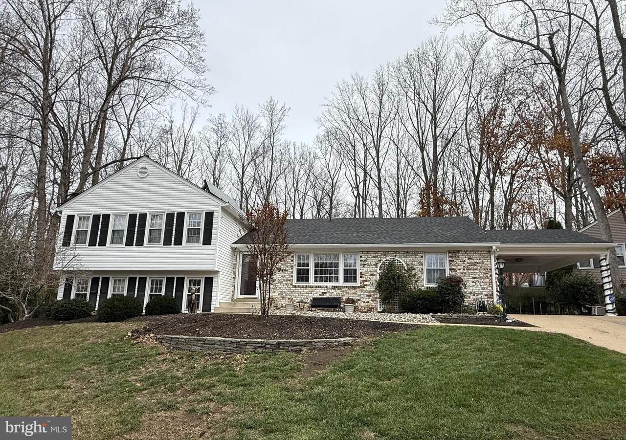 12001 Skipjack Court - Photo 1