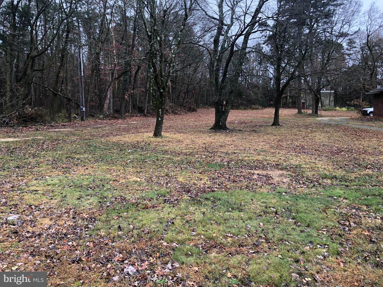 533 Sherman Avenue - Photo 1