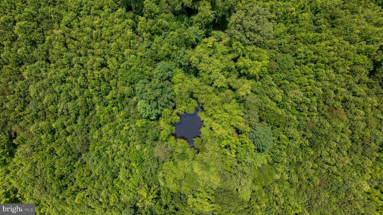 TBD Piney Grove Road - Photo 1