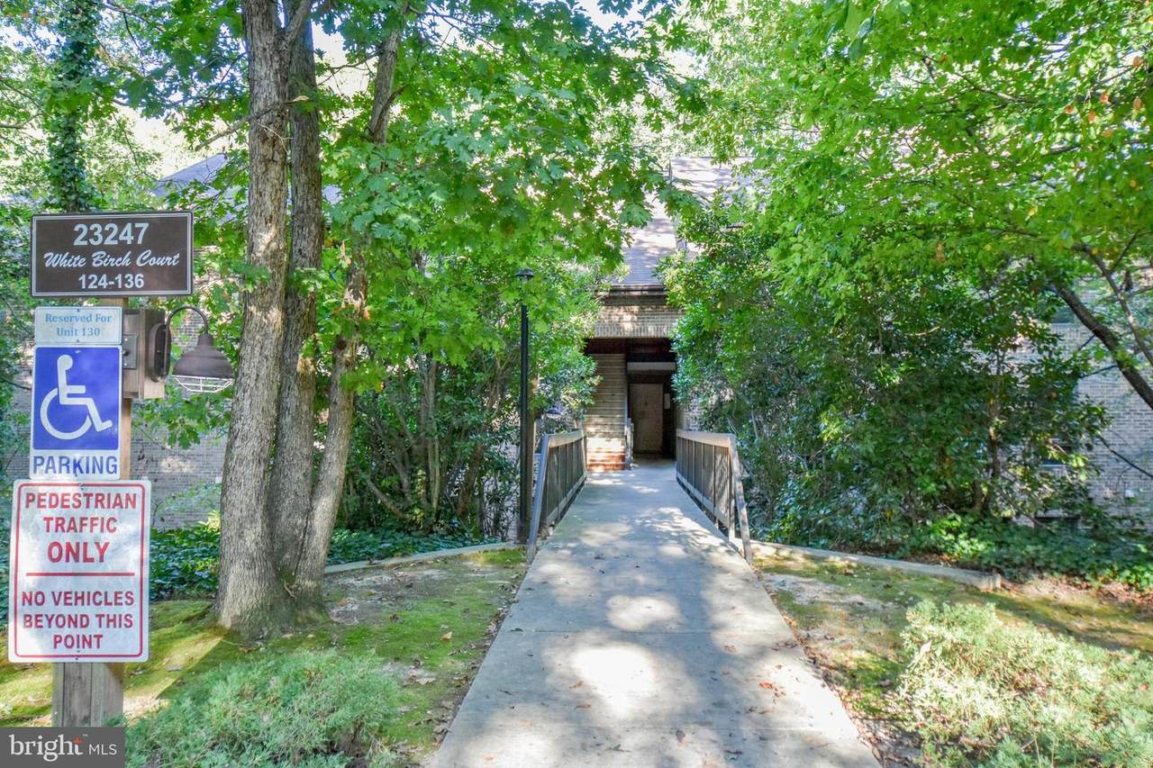 23247 White Birch Court - Photo 1