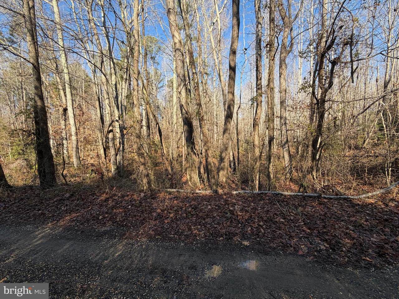 Lot 2A Turkey Acres Rd - Photo 1