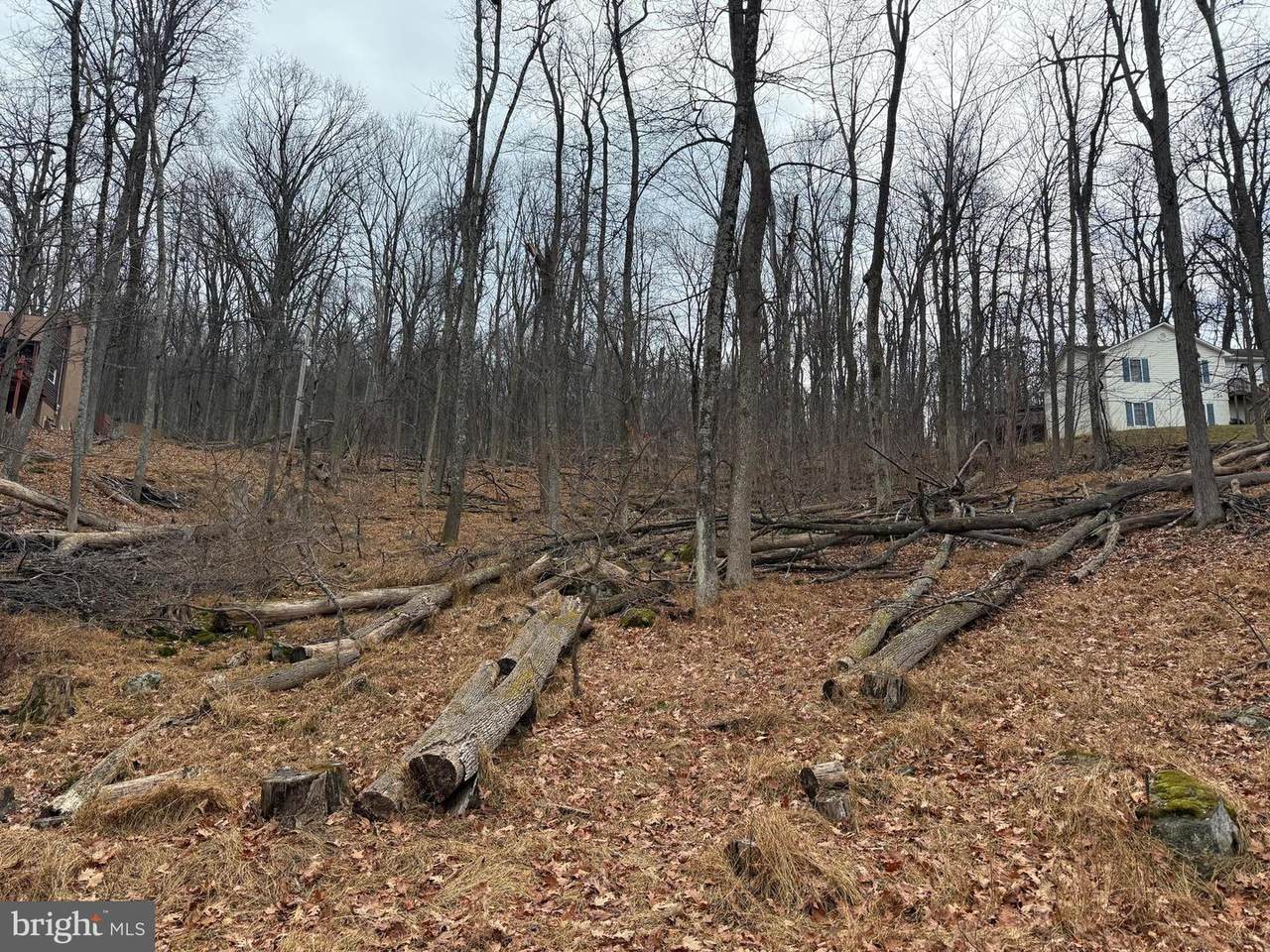 Lot 5 Deer Trail Road - Photo 1