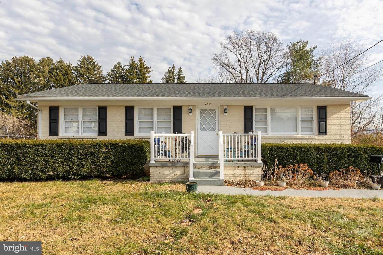 250 Euclid Avenue - Photo 1