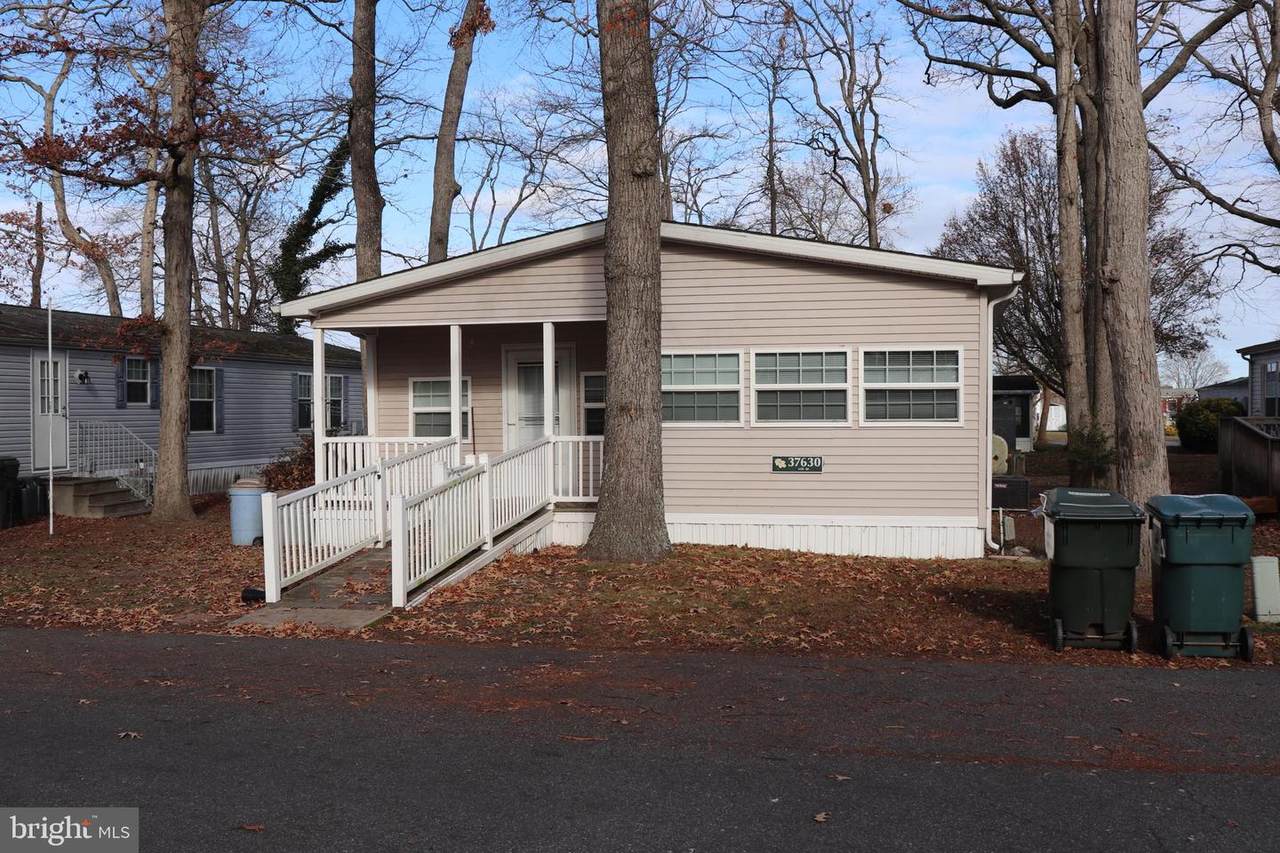 37630 Shady Drive - Photo 1