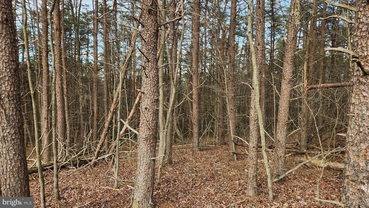 11901 Price Road - Photo 1