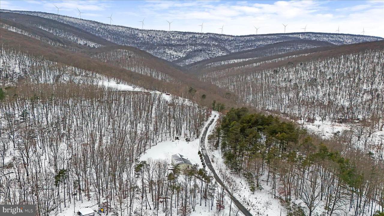 875 Pinepointe Drive - Photo 1