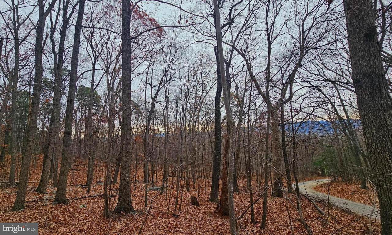 TBD Forest Drive Ext - Photo 1