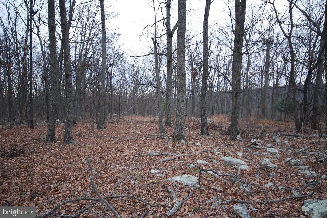 Lot 21 Gold Nugget Road - Photo 1