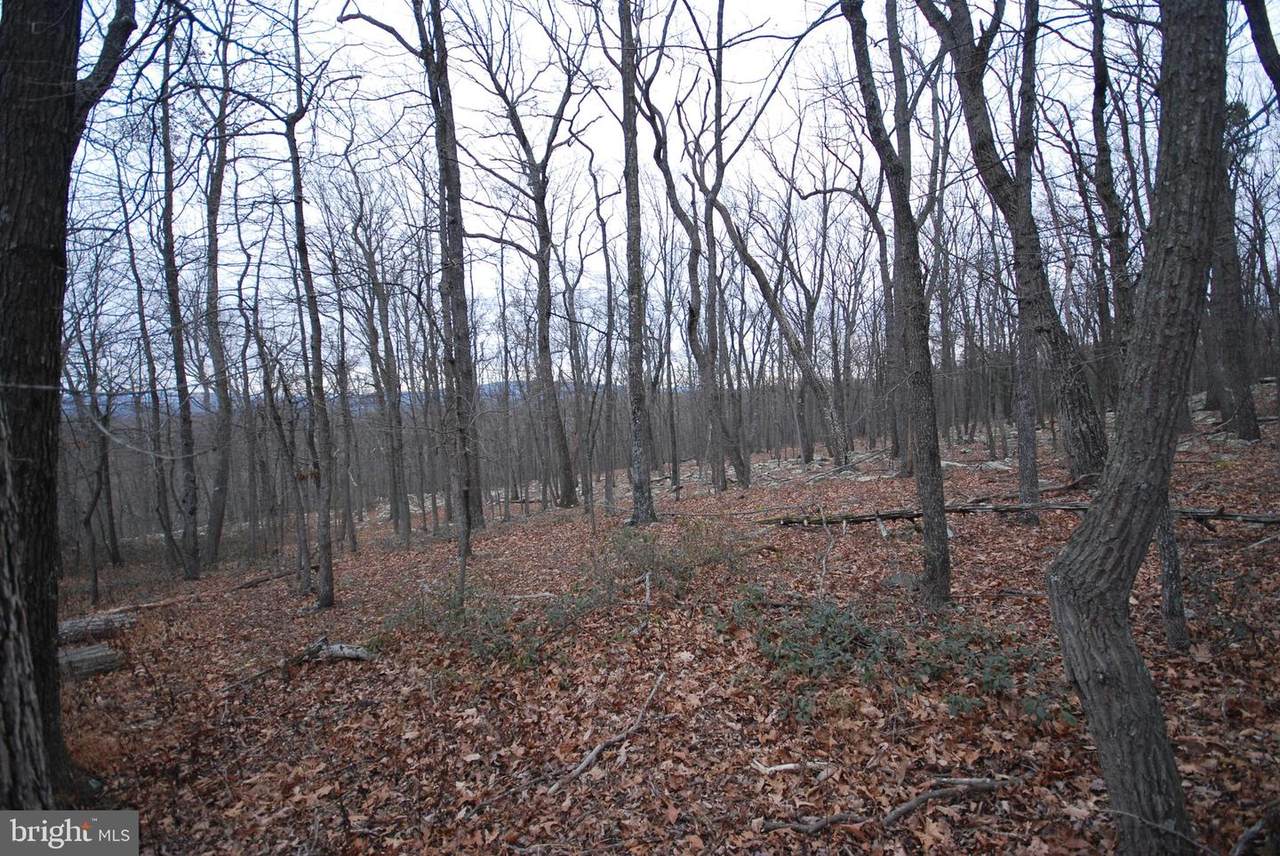 Lot 88 Wakeman Drive - Photo 1