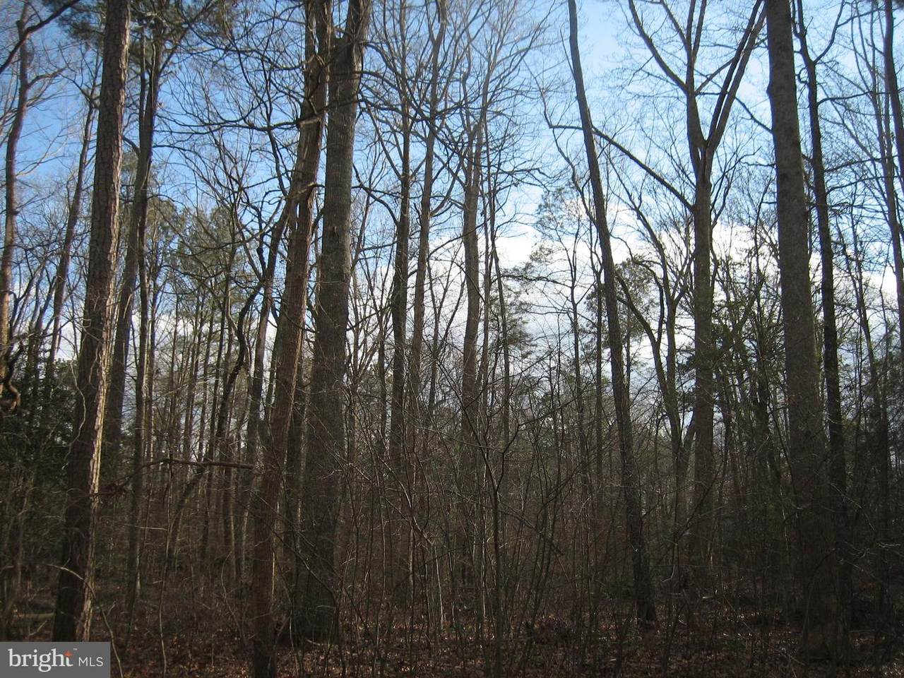1816 Mutiny Drive - Photo 1