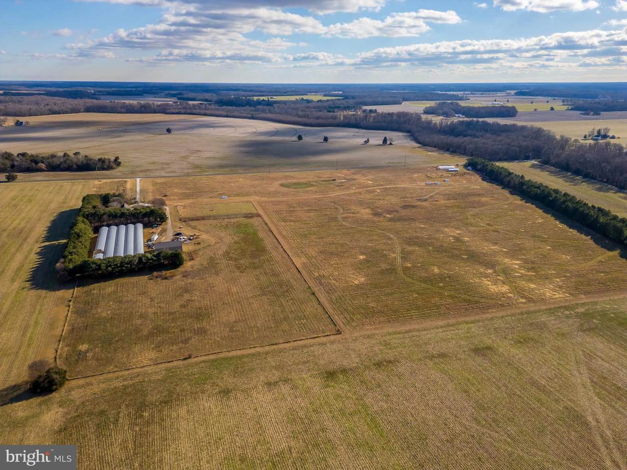 7904 Clark Road - Photo 1