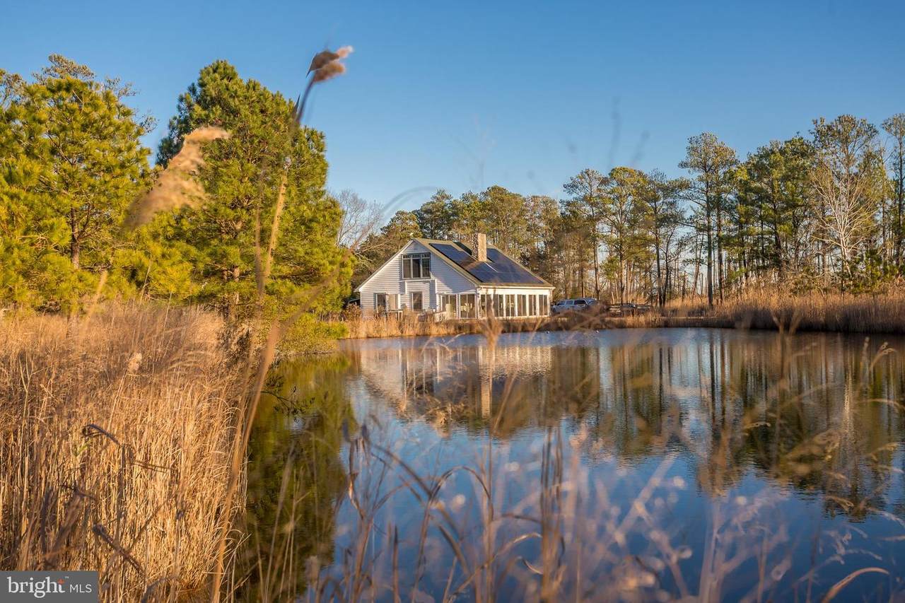 3819 Maple Dam Road - Photo 1