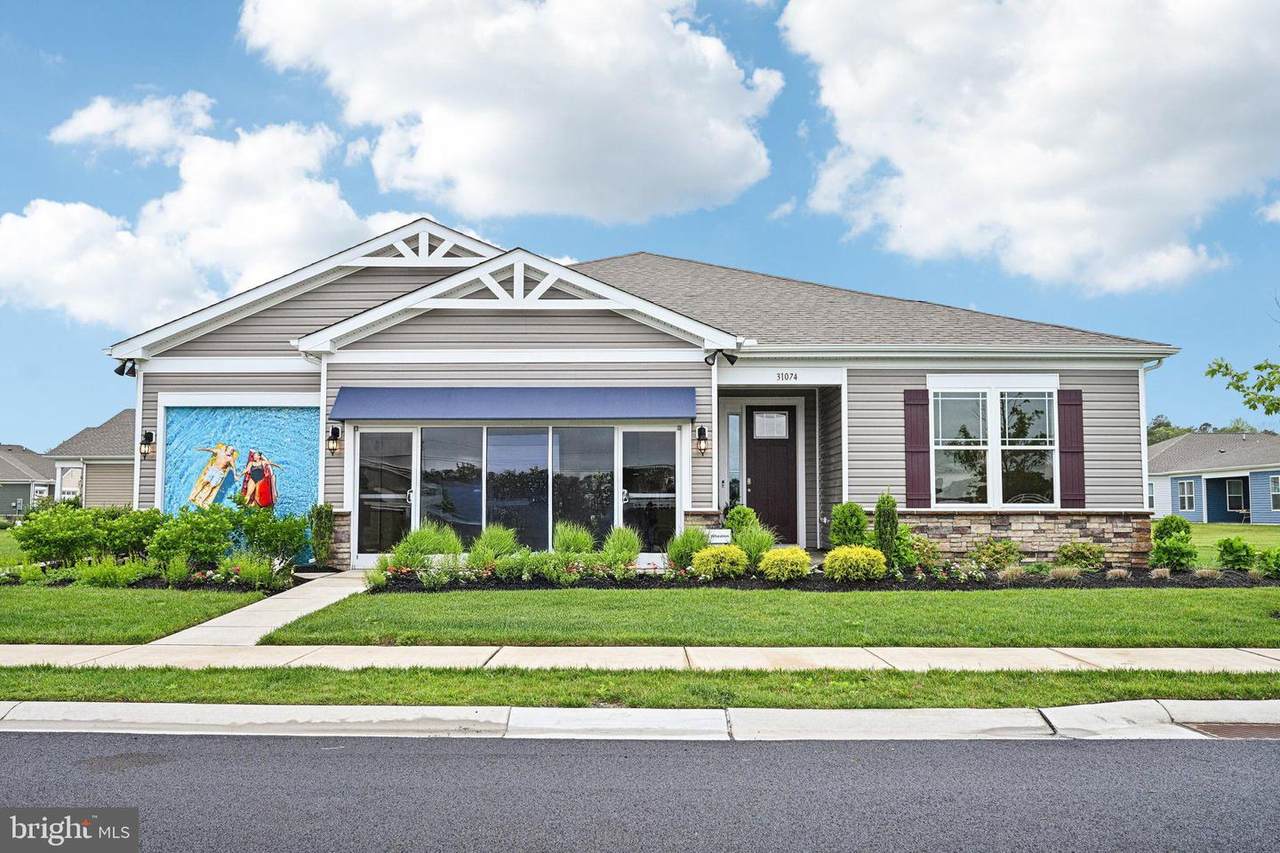 31074 Tigress Road - Photo 1