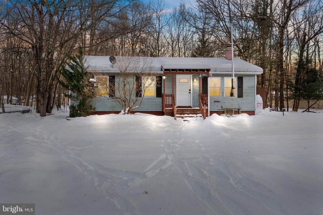 10 White Birch Way - Photo 1