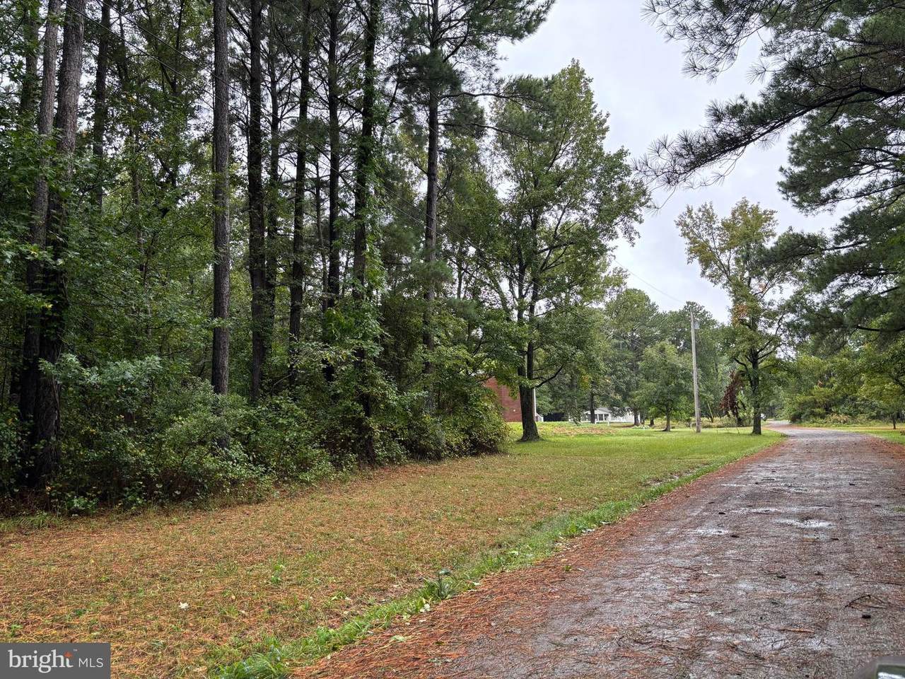  Lake Drive - Photo 1