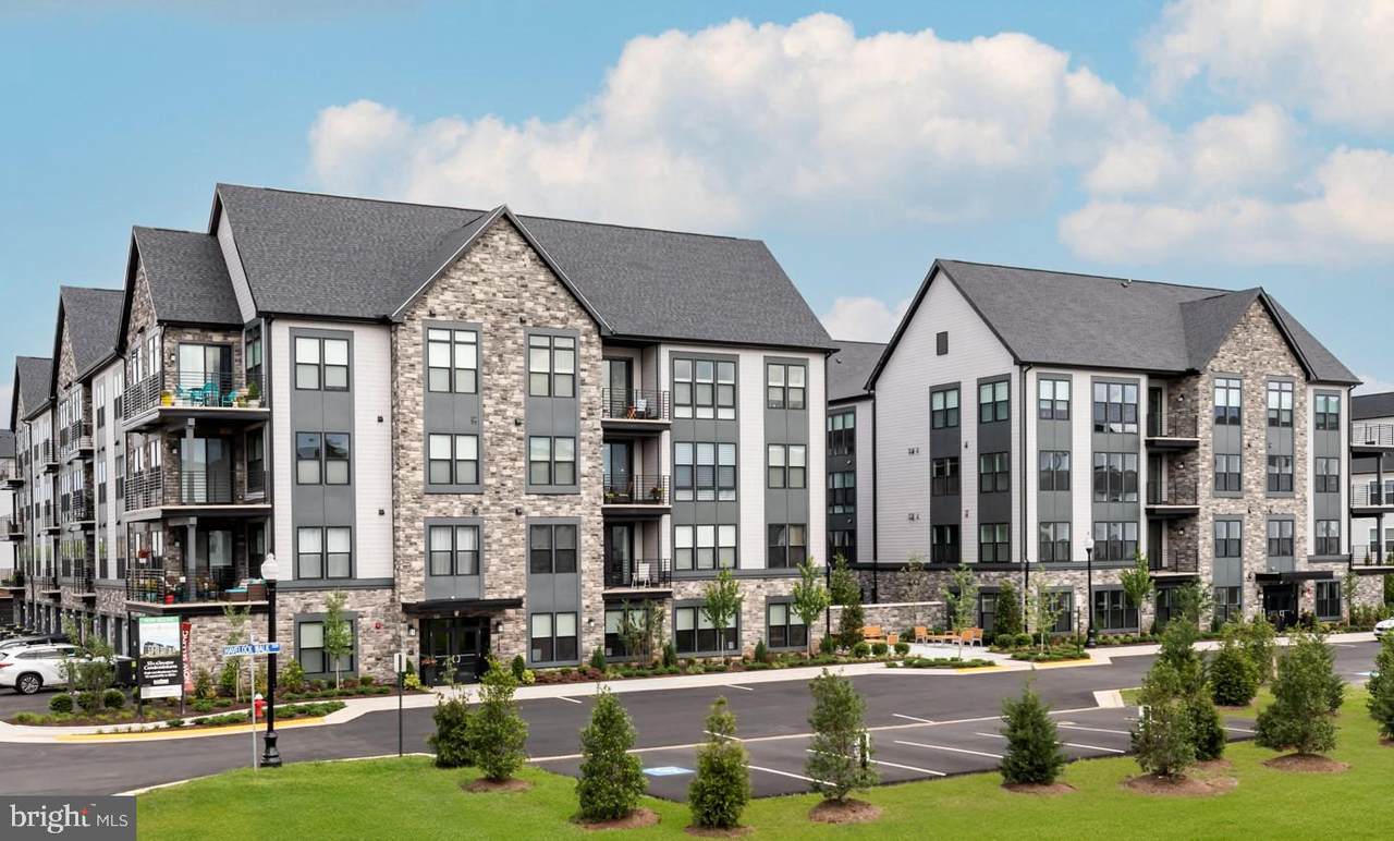 23664 Havelock Walk Terrace - Photo 1