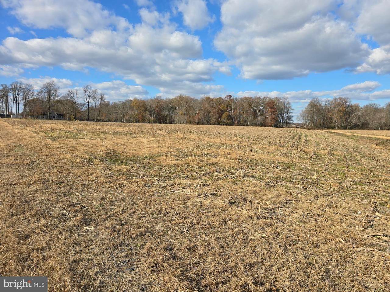 0 Lot 1 Poplar Neck - Photo 1