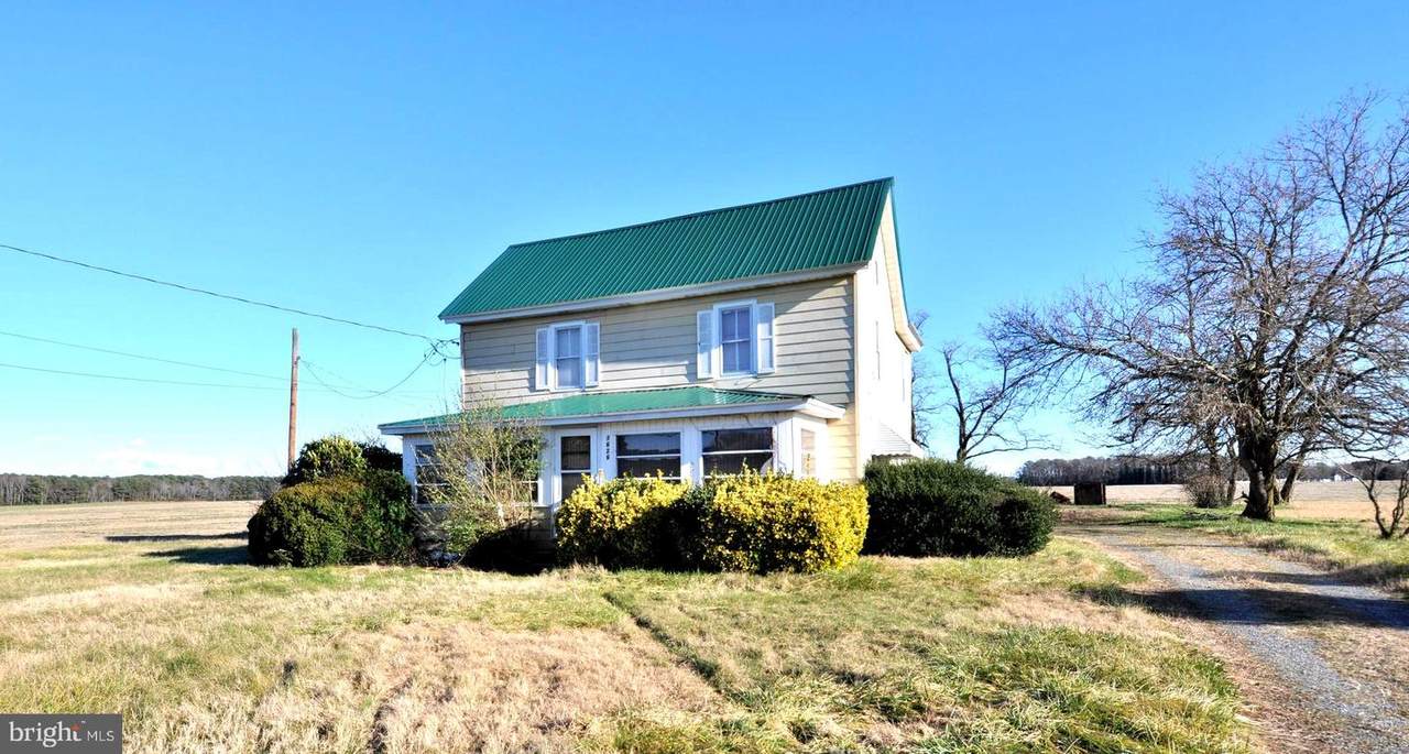 1626 Snow Hill Road - Photo 1