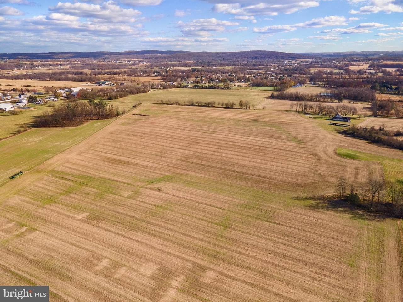 1145 The Spangler Road - Photo 1