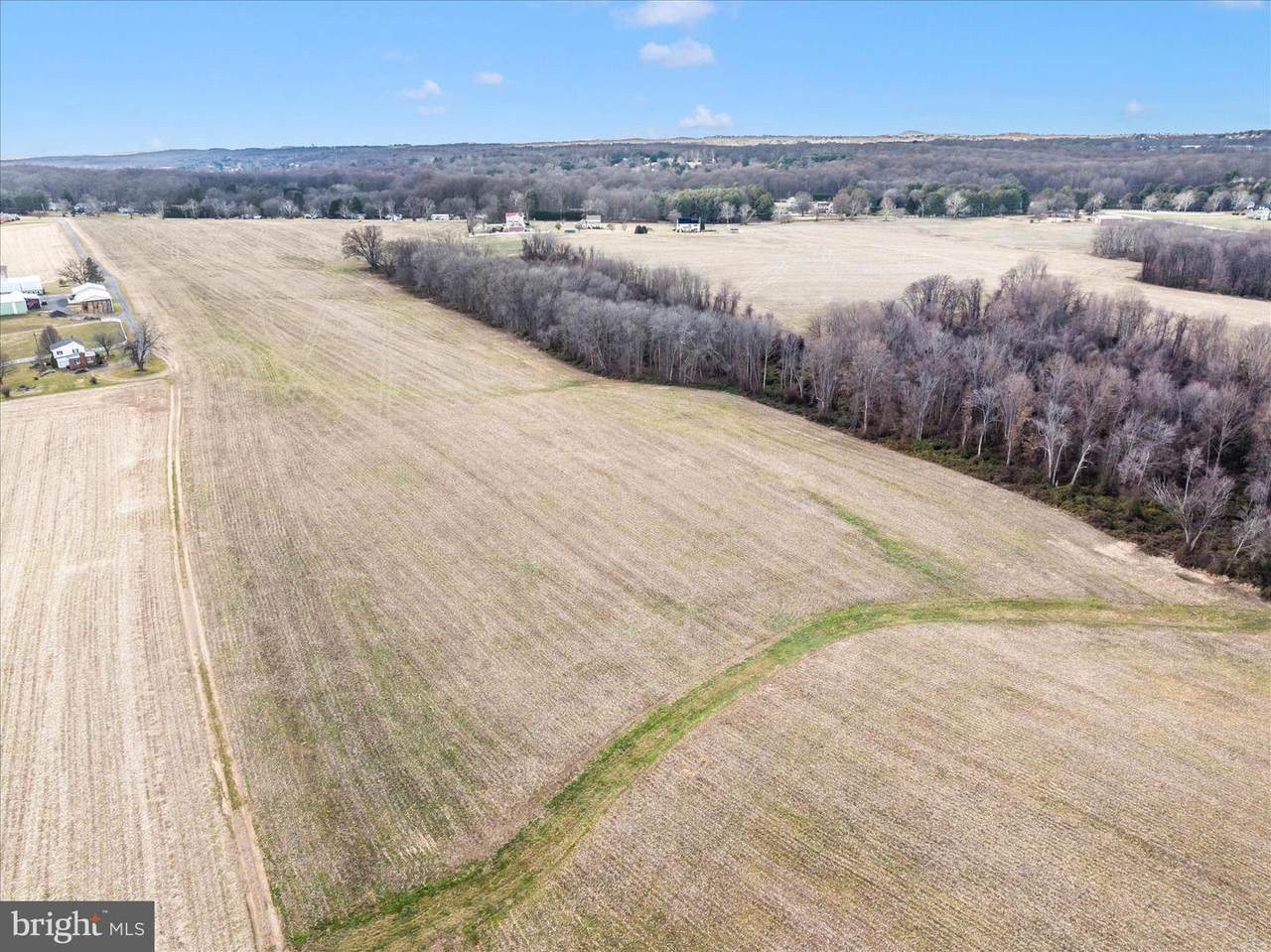  114 ACRES ON DAMASCUS Road - Photo 1