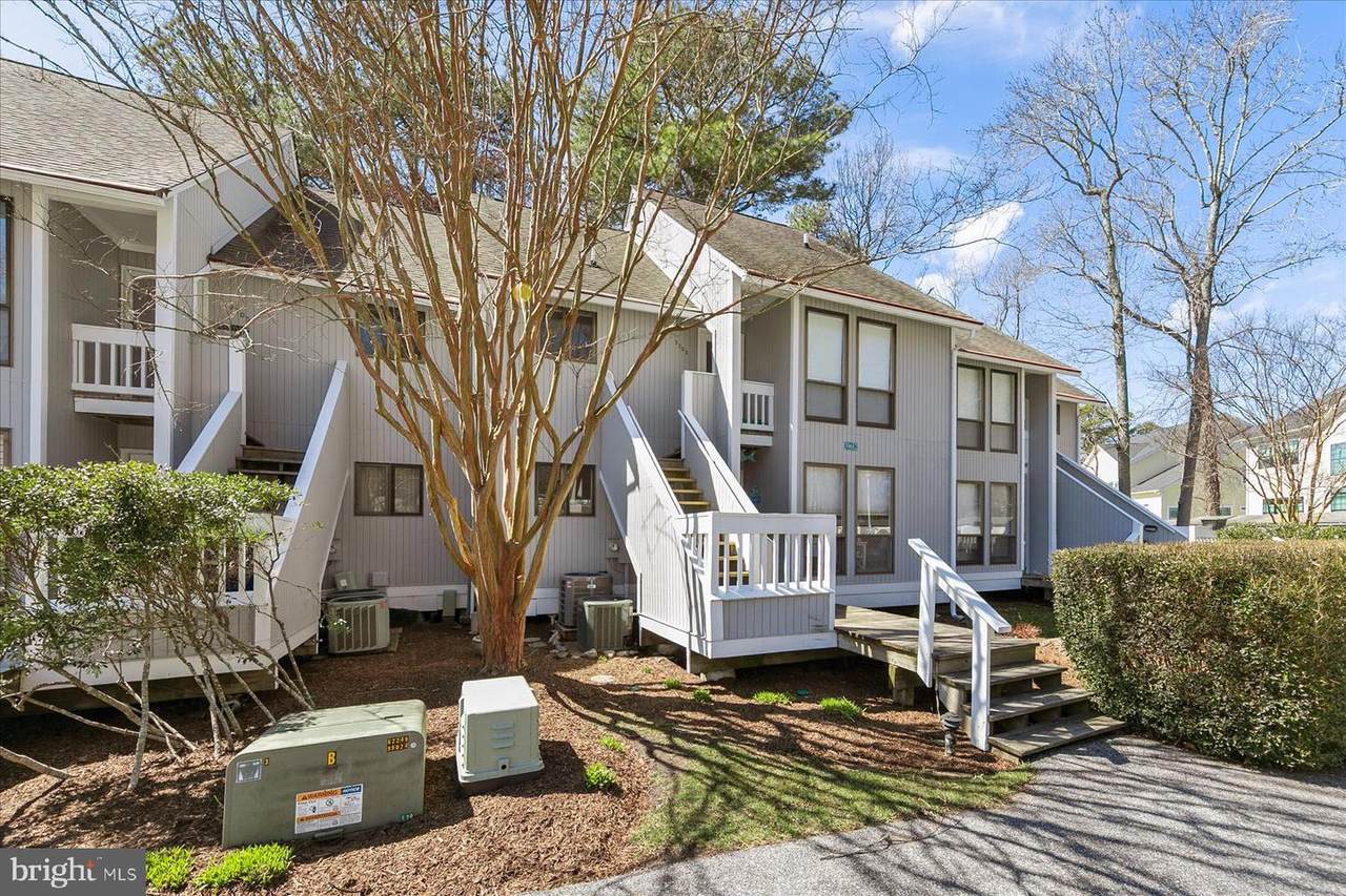 39682 Round Robin Way - Photo 1