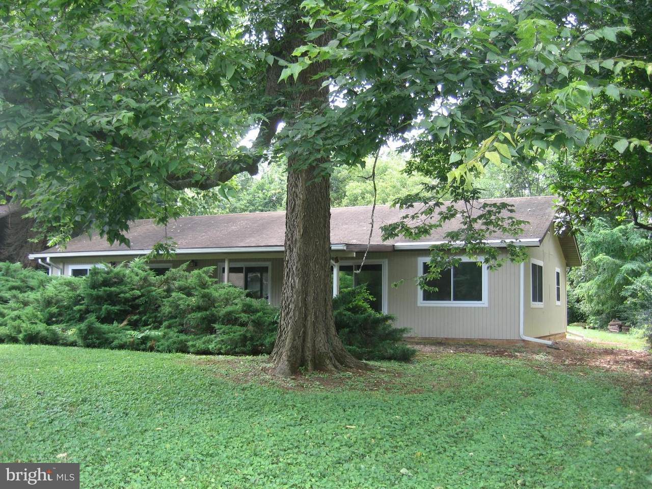 165 Natalie Lane - Photo 1