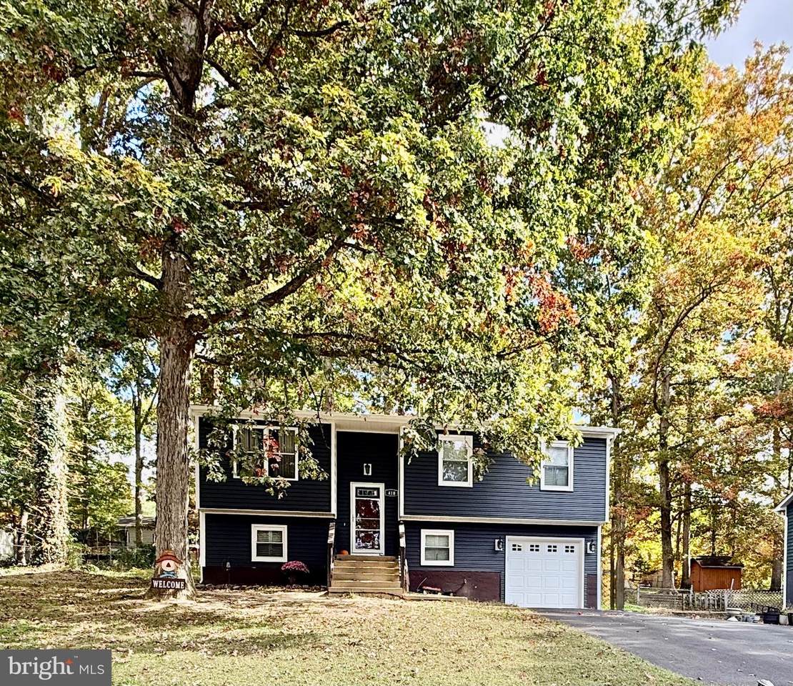 410 Albany Street - Photo 1