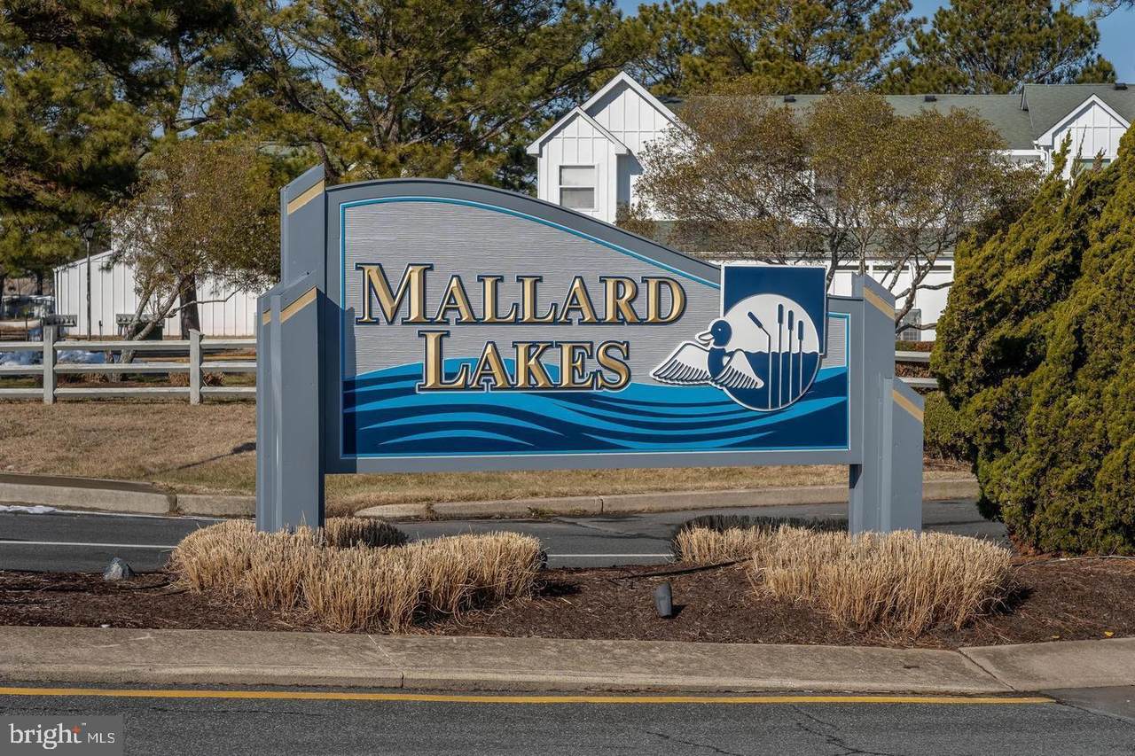 37781 Heron Lane - Photo 1